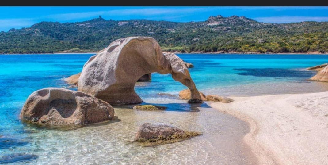 אביאדורי Appartamento Taras Sottovento - Porto Cervo חדר תמונה